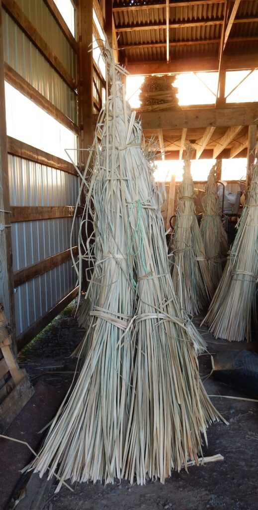 The bundles are stored in the barn for final drying and preparation for shipping.